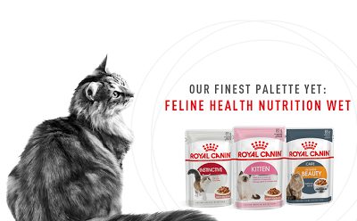 Royal Canin Cat Food Free Sample Giveaway Promo