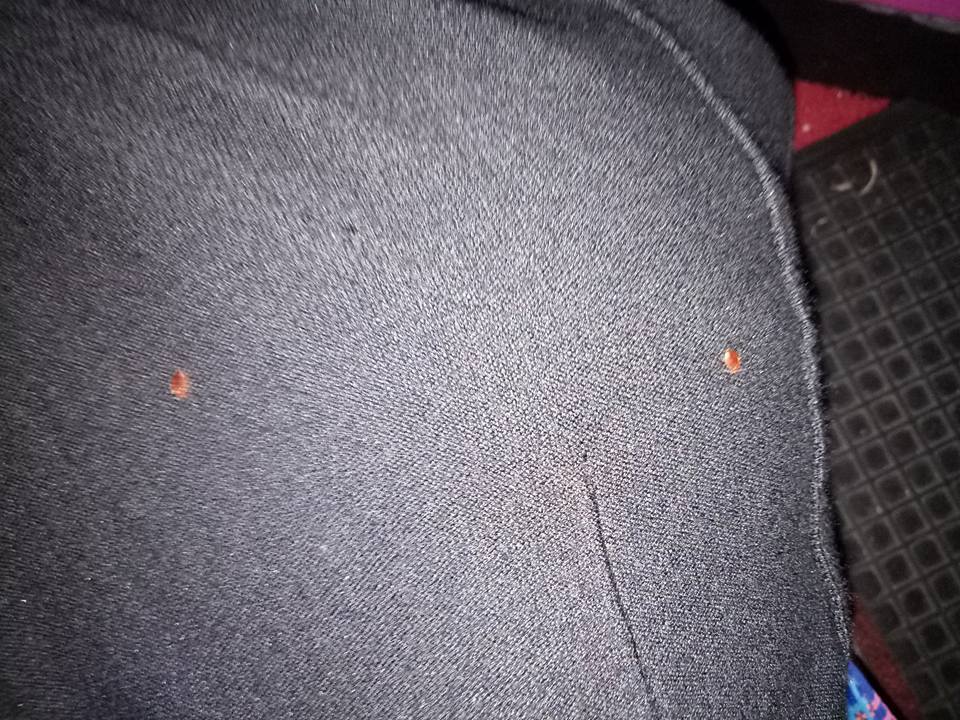 Never buy StarMart Express Bus ticket or you will get bitten by bed ...